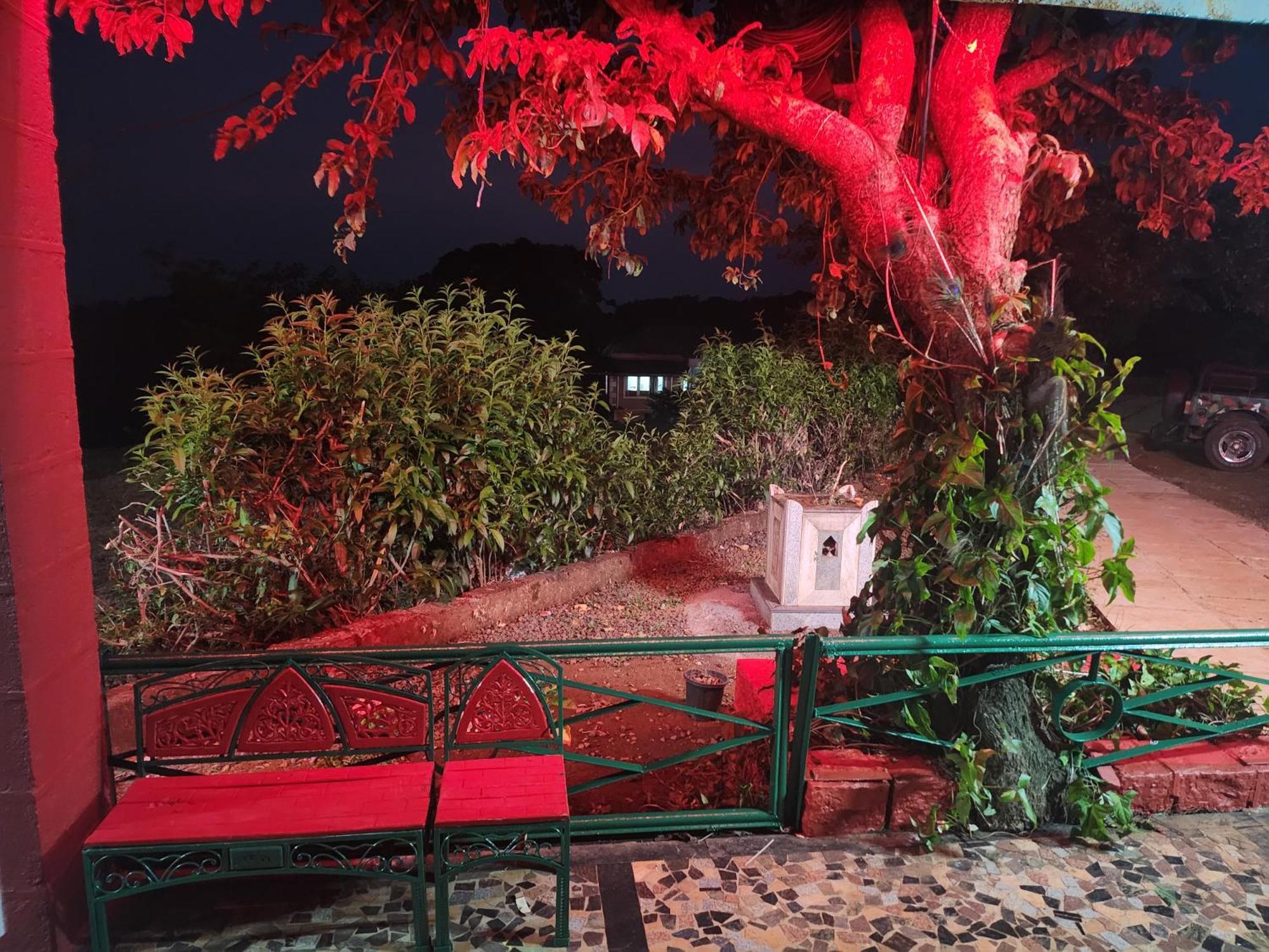 Junglee Nest Holiday Home & Huts Mahābaleshwar Dış mekan fotoğraf